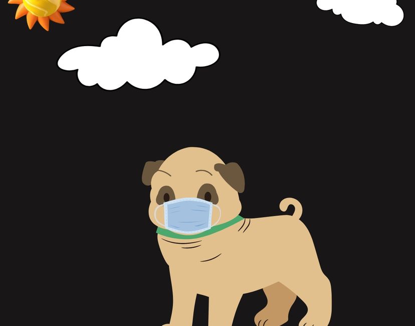 Nft Mask Dog