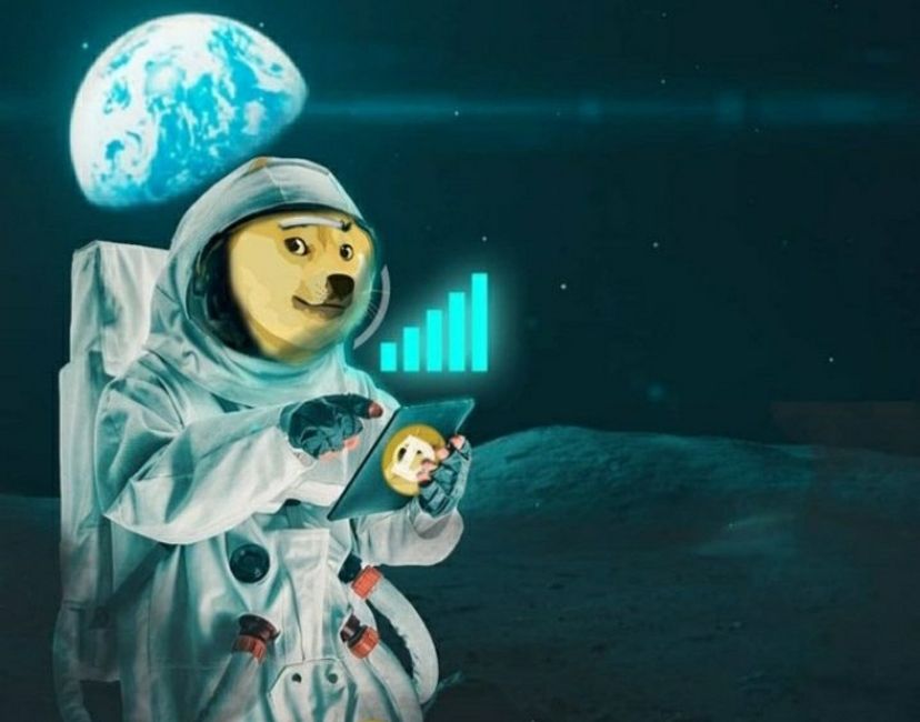 Nft Doge 