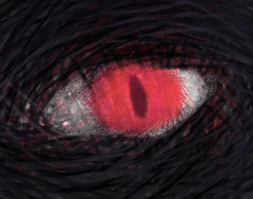 Nft Black Wolf's Eye