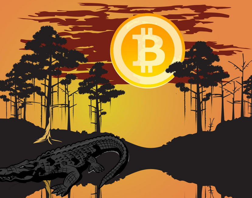 Nft Bayou Bitcoin 
