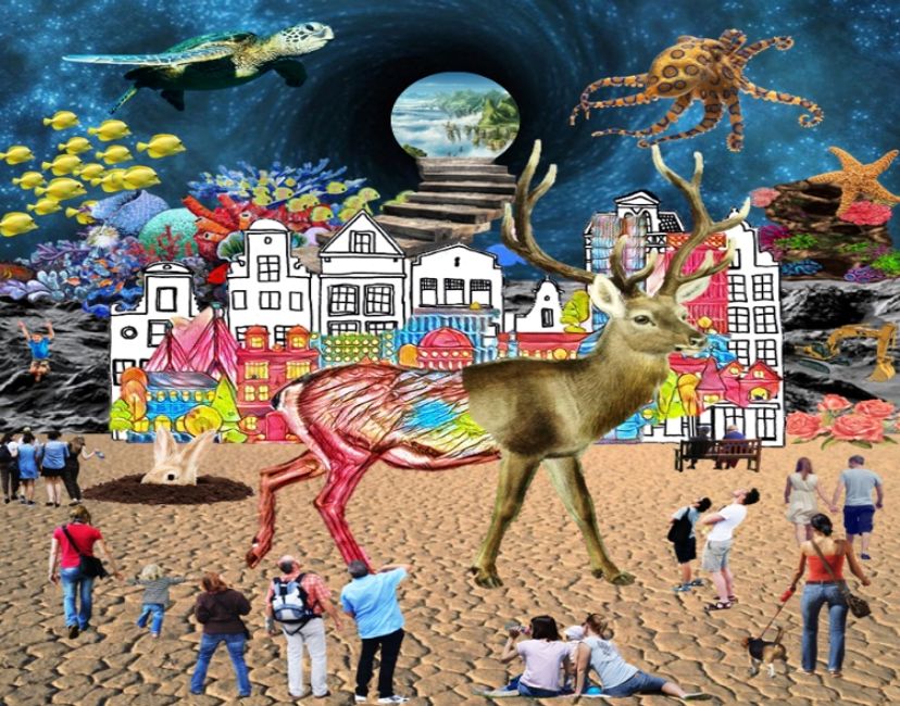 Nft Play the imagination