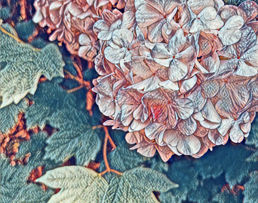 Nft May Flowers 🌺 