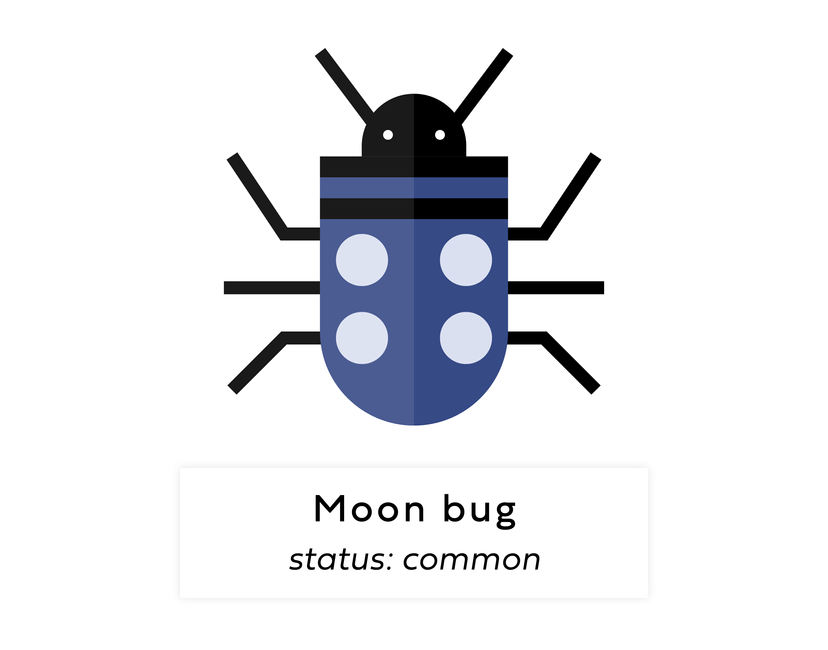 Nft Digi bug #53
