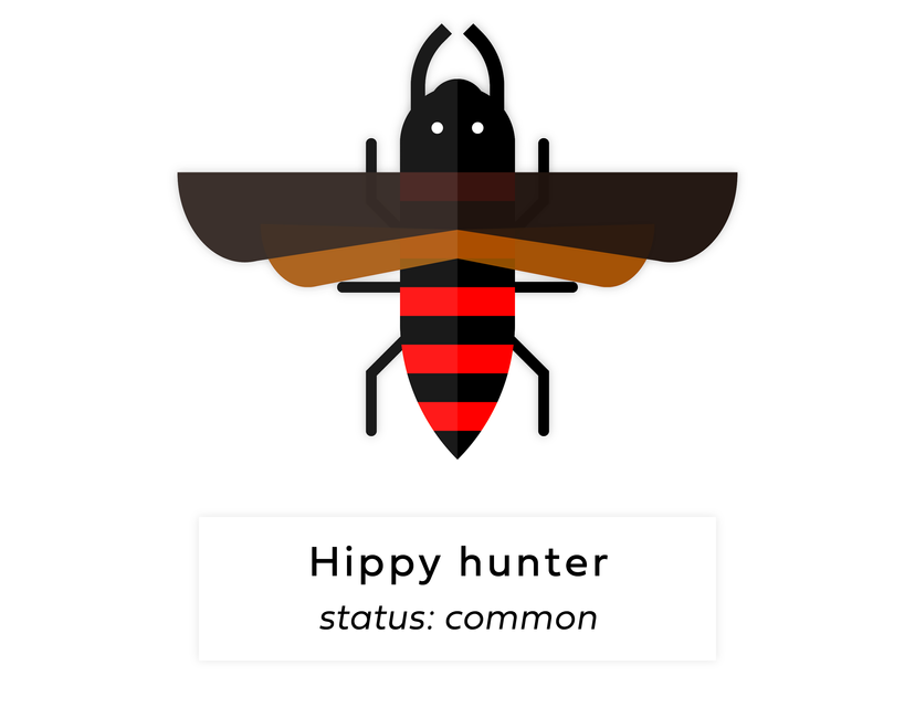 Nft Digi bug #41