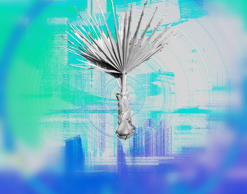Nft Palm therapy #1