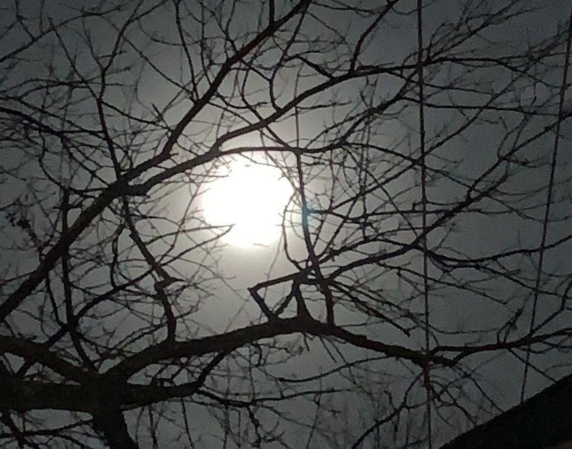 Nft Full moon collection #1
