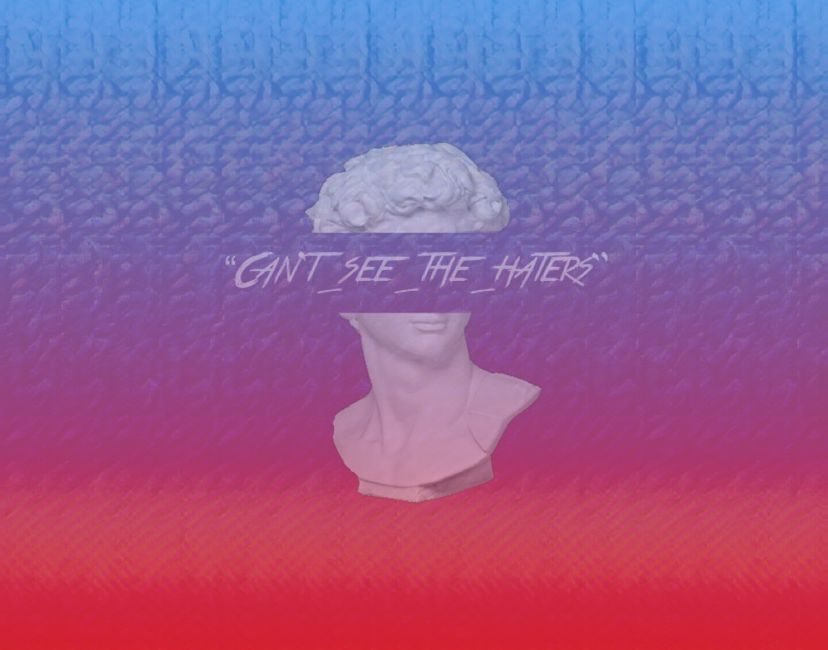 Nft “Cant_see_the_haters”