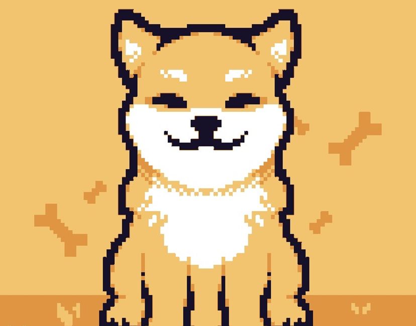 Nft Doge in Smile