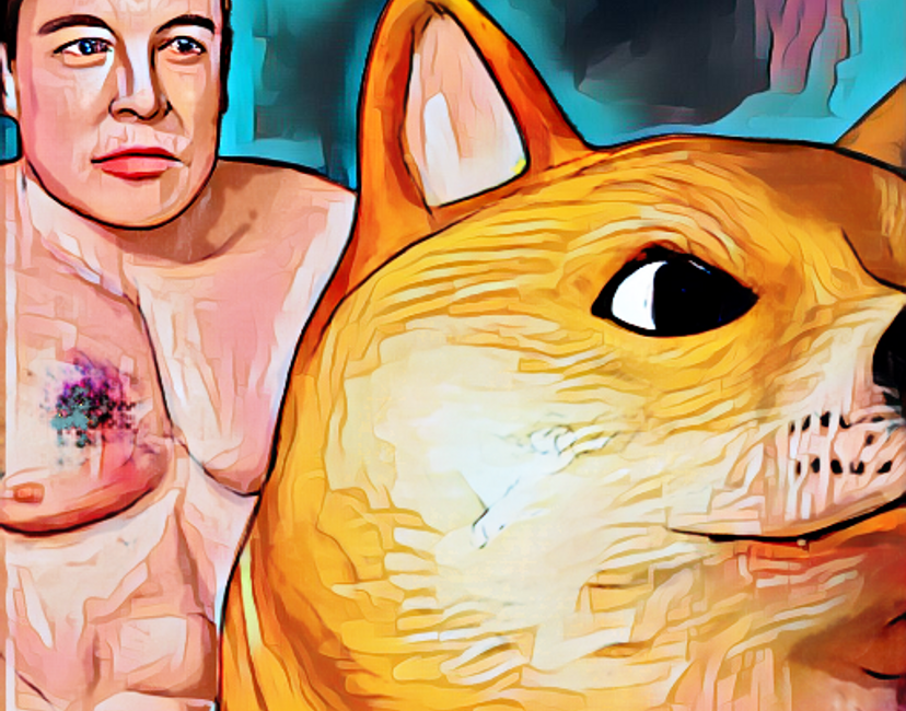 Nft Elon The King Of Doge 👑👑👑👑