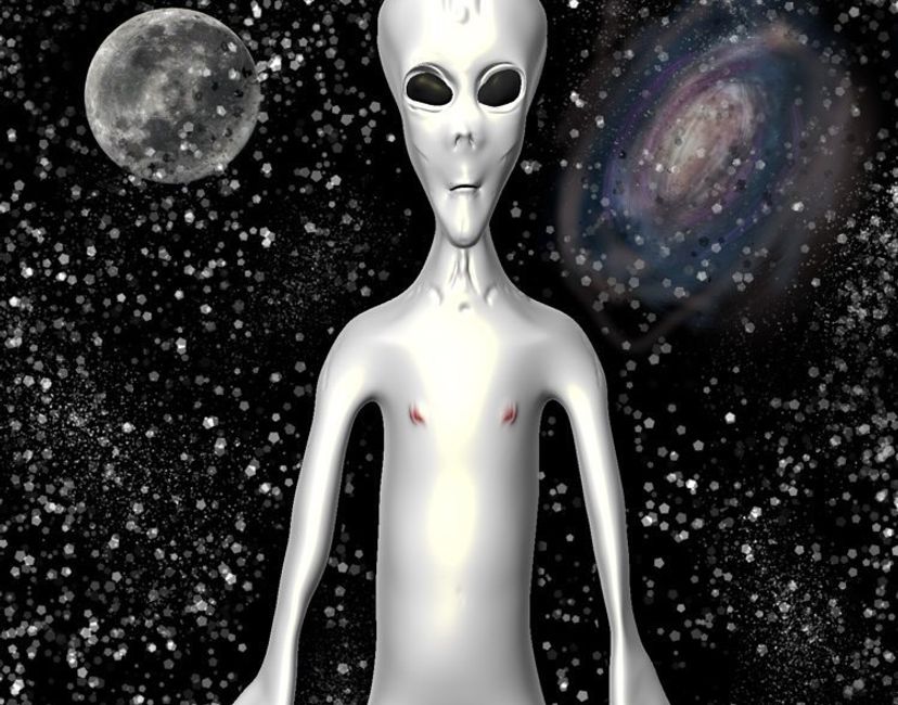 Nft Extraterrestrial Punk #6