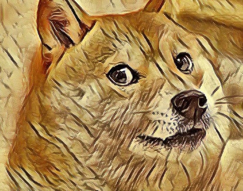 Nft DOGE #2