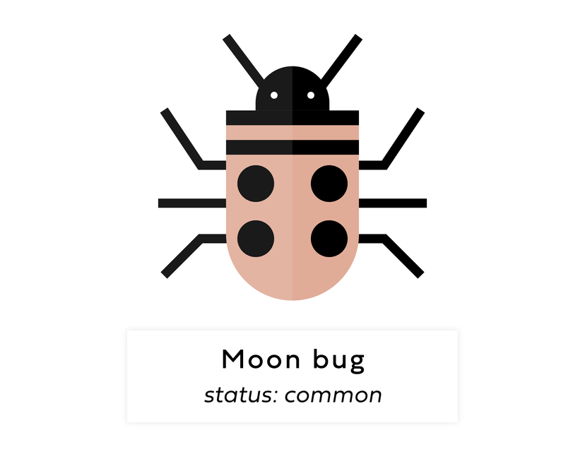 Nft Digi bug #63