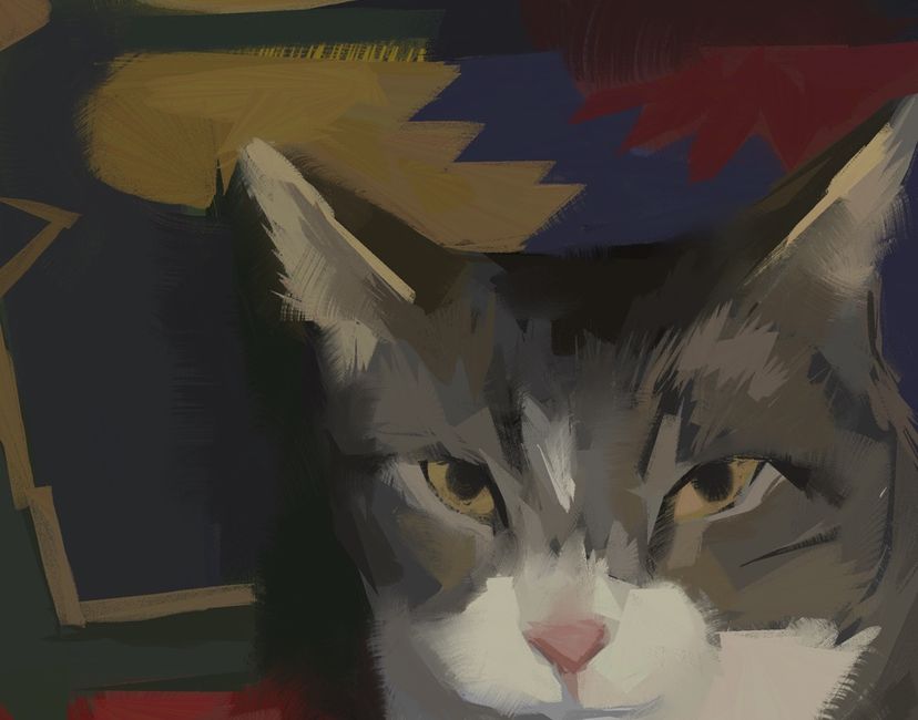 Nft Cat on carpet