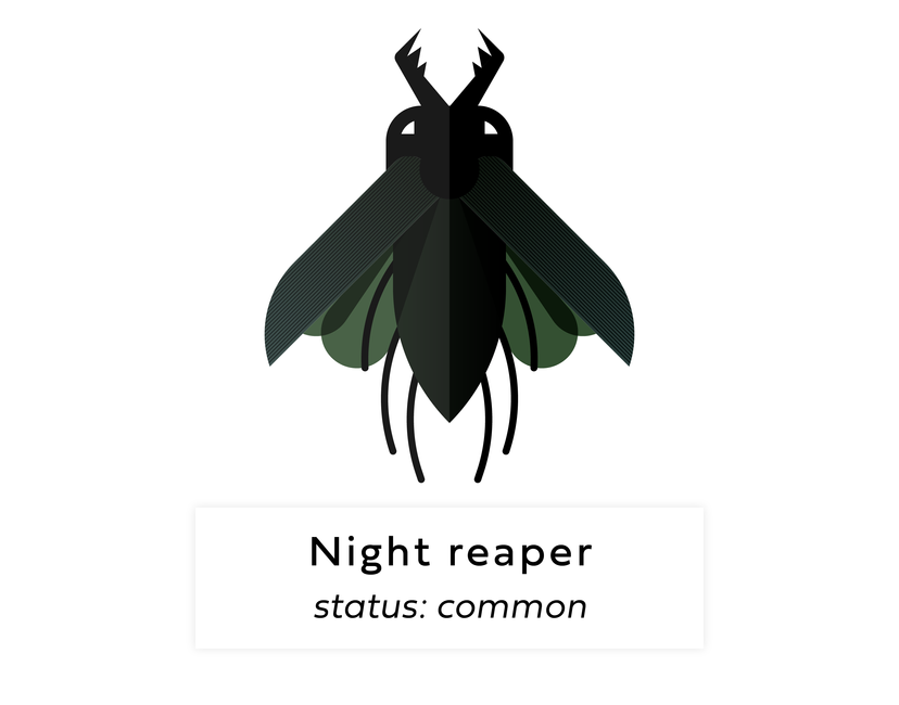 Nft Digi bug #121