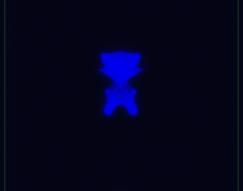 Nft gfac#006