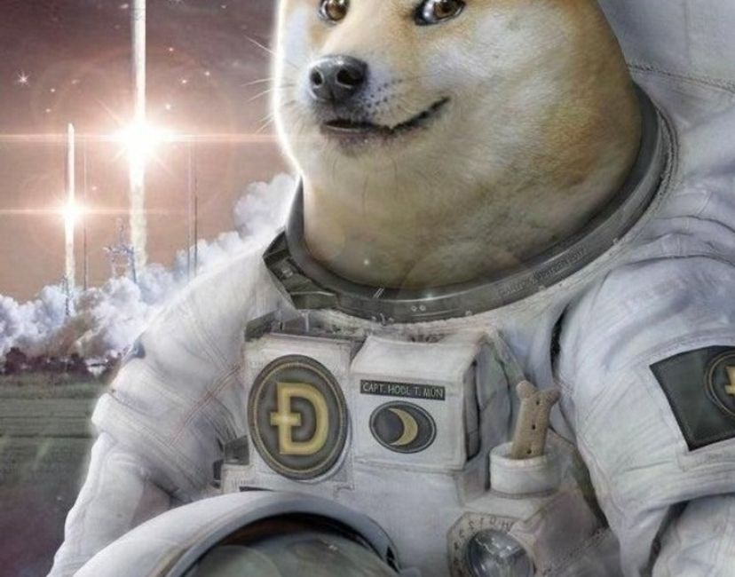 Doge Astronouts #01 | NFT Collection | Airnfts