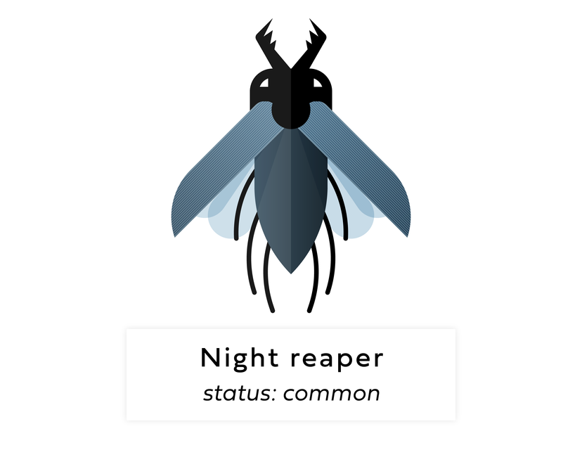 Nft Digi bug #119