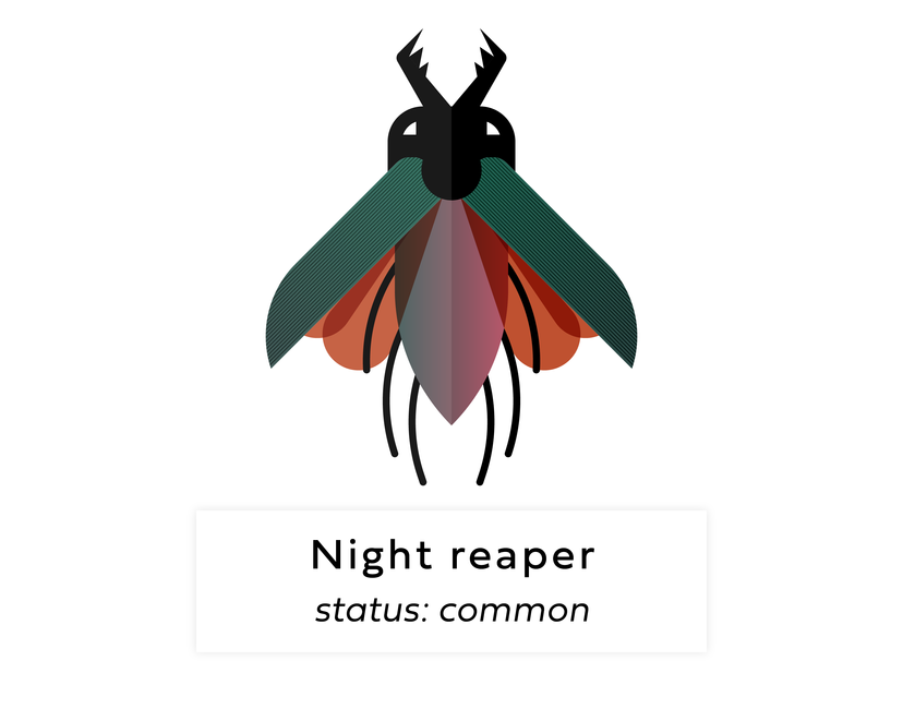 Nft Digi bug #129