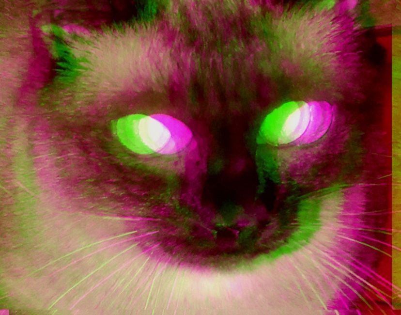 Nft Glitch Cat
