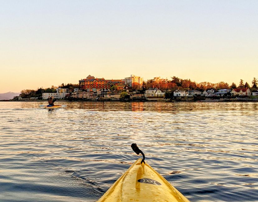 Nft Paddling freedom