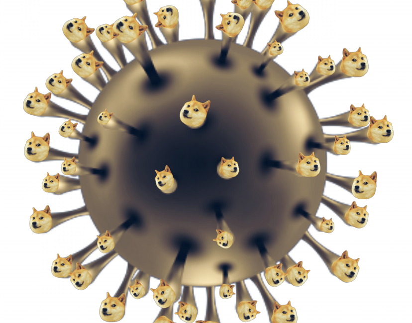 Nft Virus Doge-19