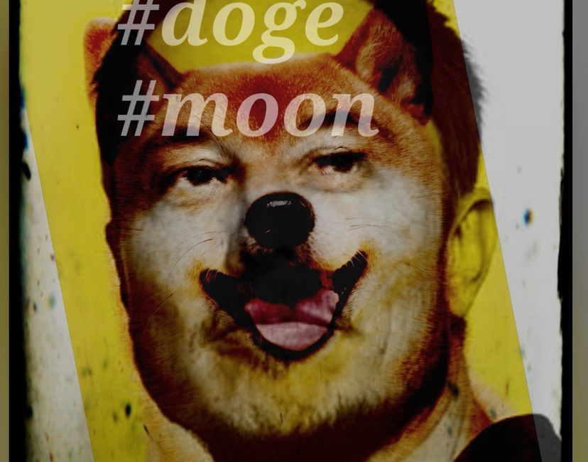 Nft Elon Doge Moon
