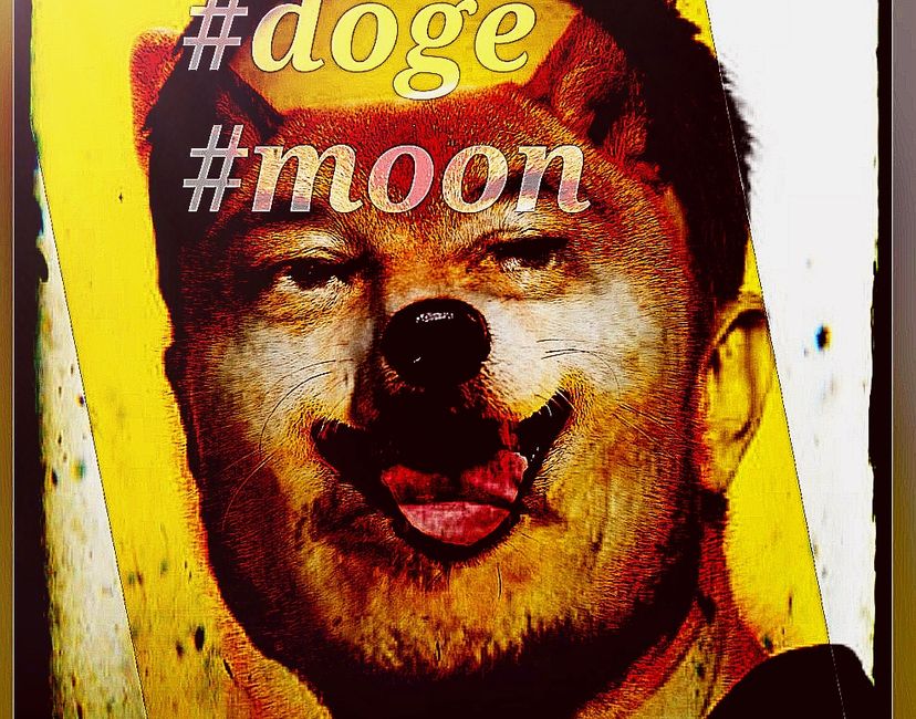 Nft Elon Doge Moon v2 (EC)