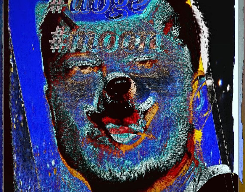 Nft Elon Doge Moon v4