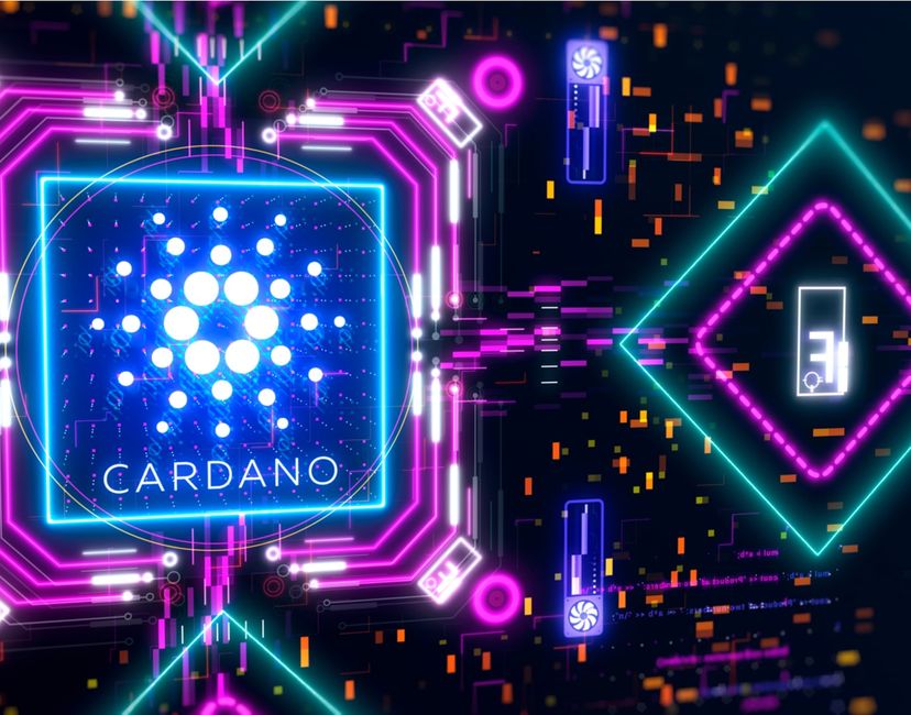 Nft CARDANO MILLENNIUM