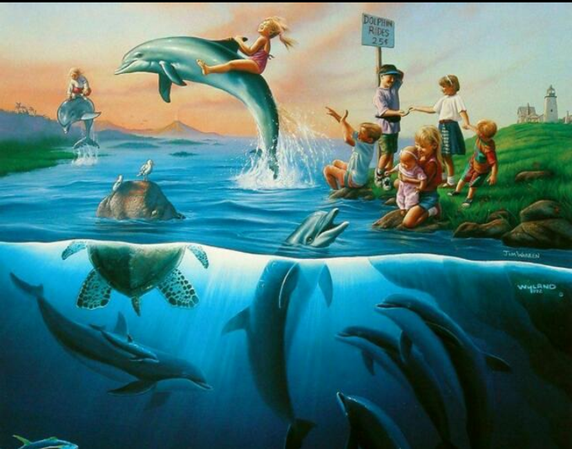 Nft Dolphins island