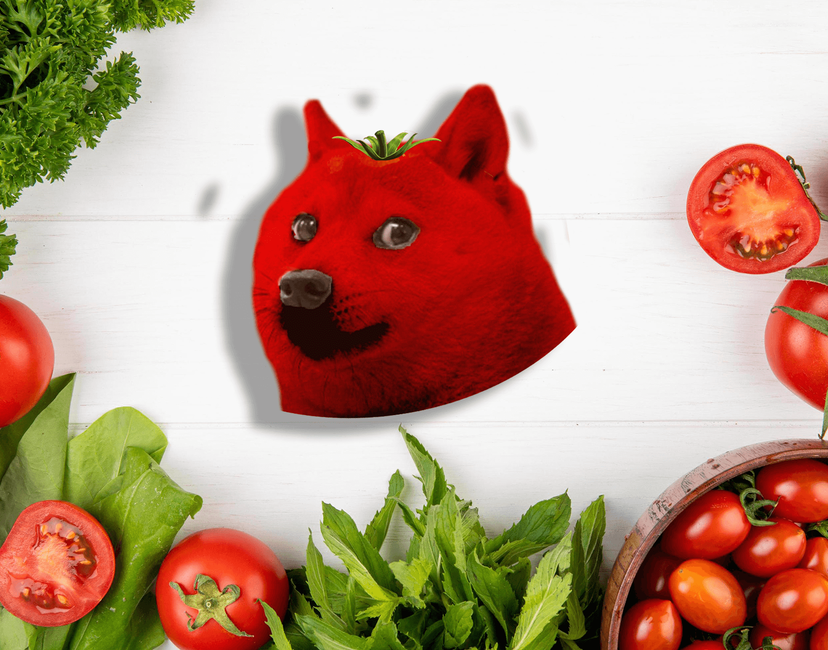 Nft Tomato Doge