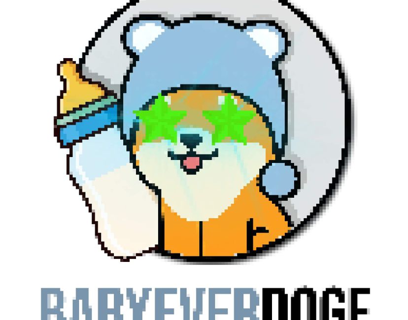 Nft BABY EVERDOGE 2.0 #11