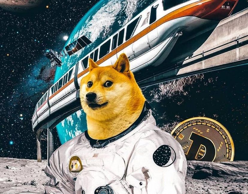 Nft Doge
