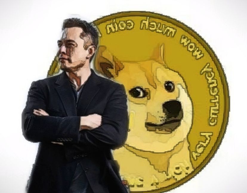 Nft Elon Doge Art 4#/5
