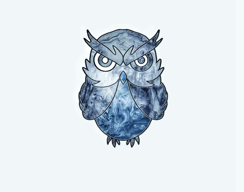 Nft Two Eye OWL#12