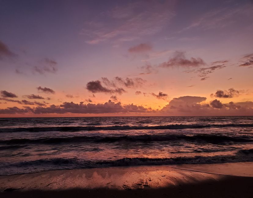 Nft Gulf Coast Sunset