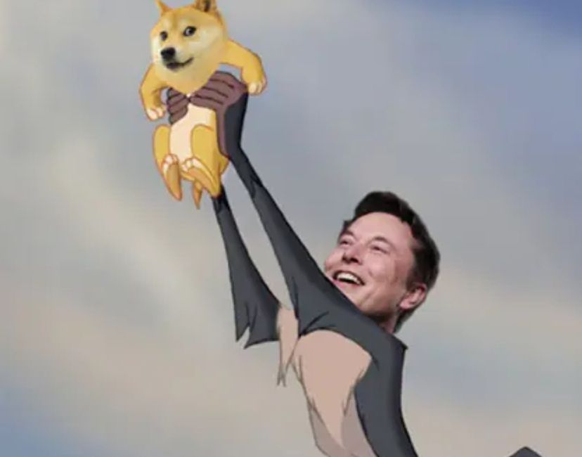 Nft Dogemoon