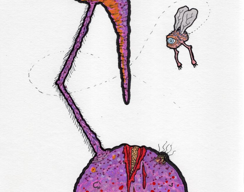 Nft Skin Lump #2 - Fly Trap