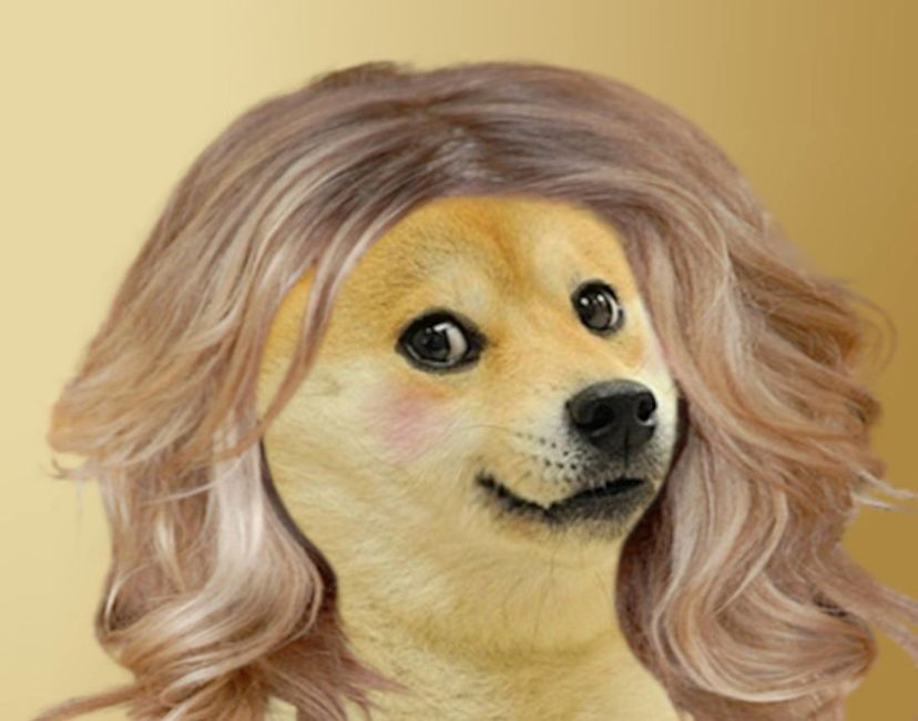 Nft Mother Doge