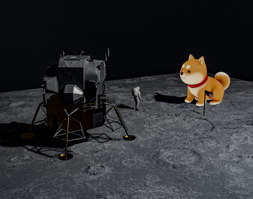 Nft Shib in Space