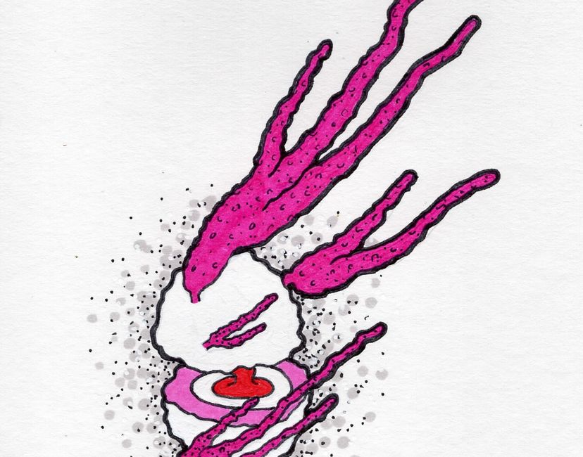 Nft Coral Ham Parasite #13 (1/3)