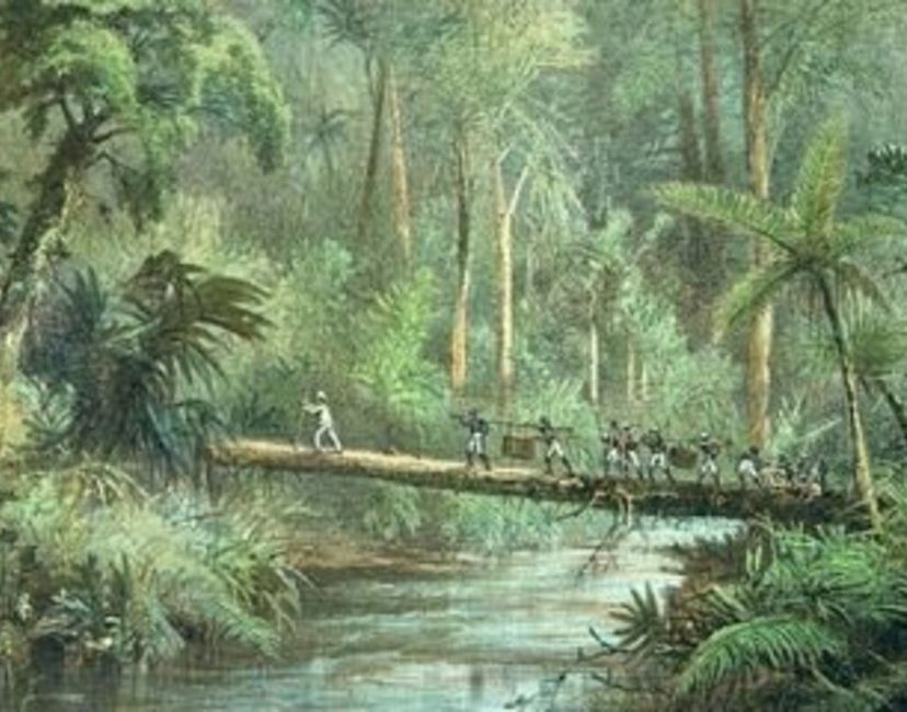 Nft "Crossing The Forest River"