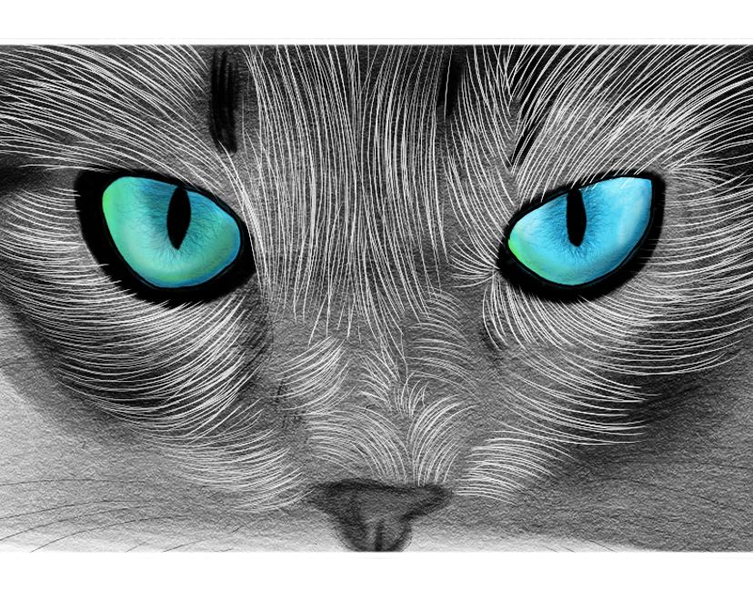Nft LineArt Cat