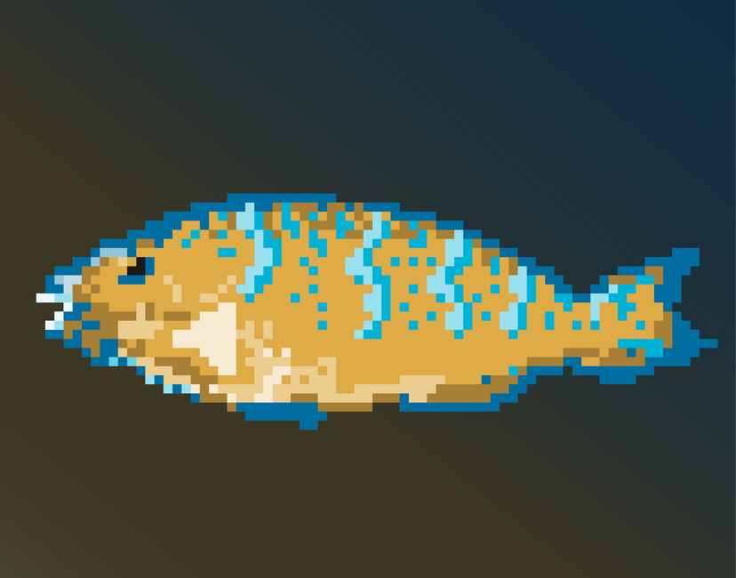 Nft Parrotfish #01