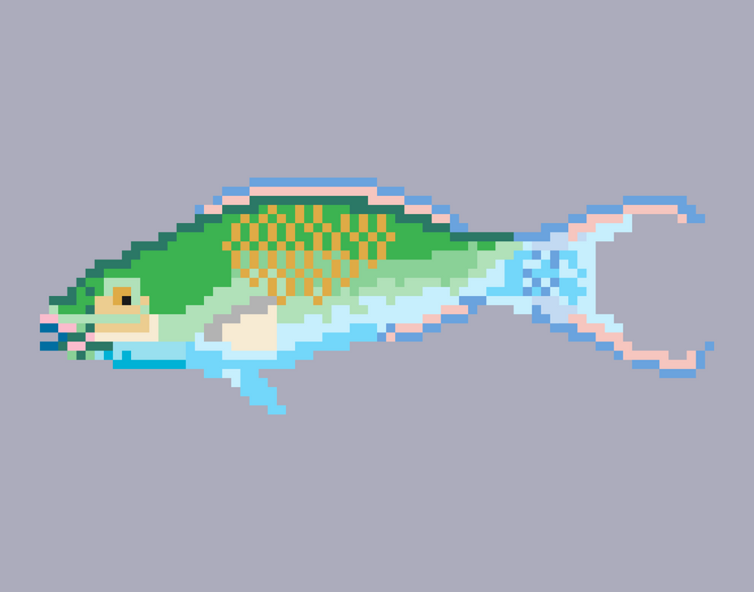 Nft Parrotfish #04