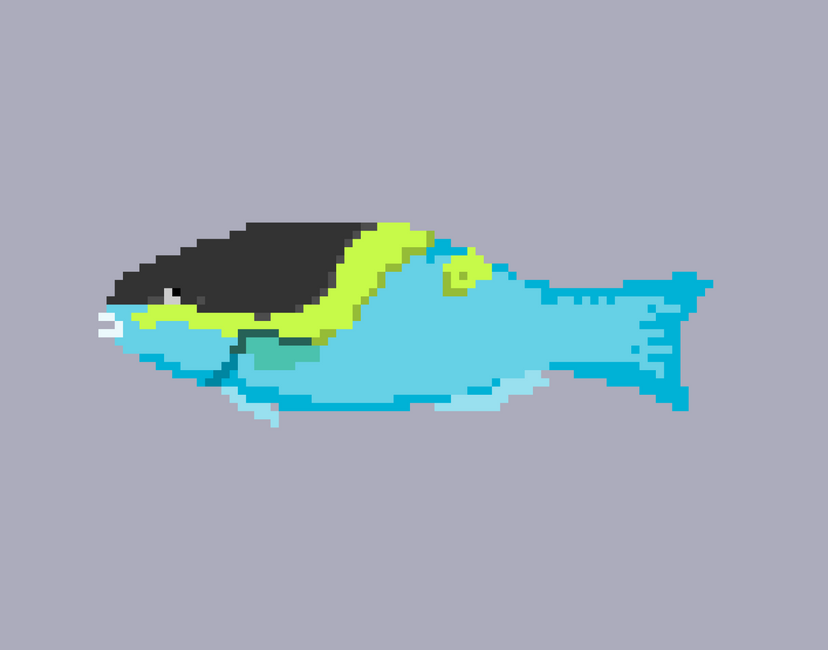 Nft Parrotfish #08