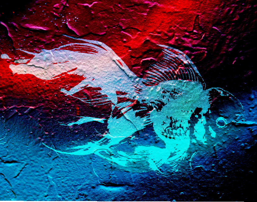 Nft Crypto fish