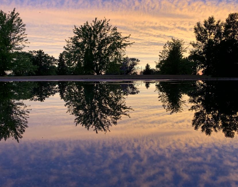 Nft Nature’s Mirror 