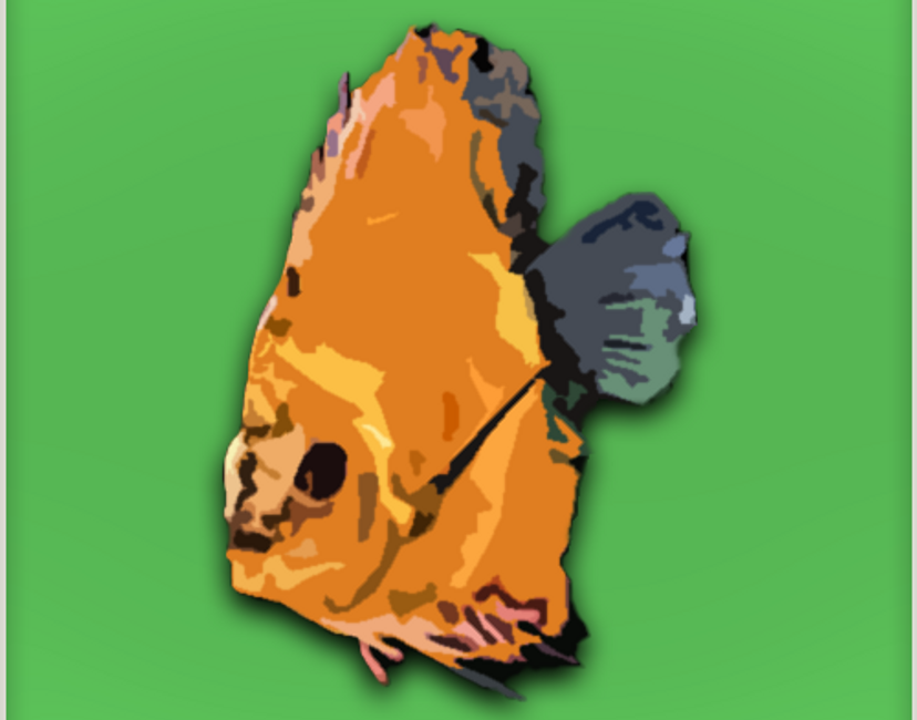 Nft Disko GreenBlock #3