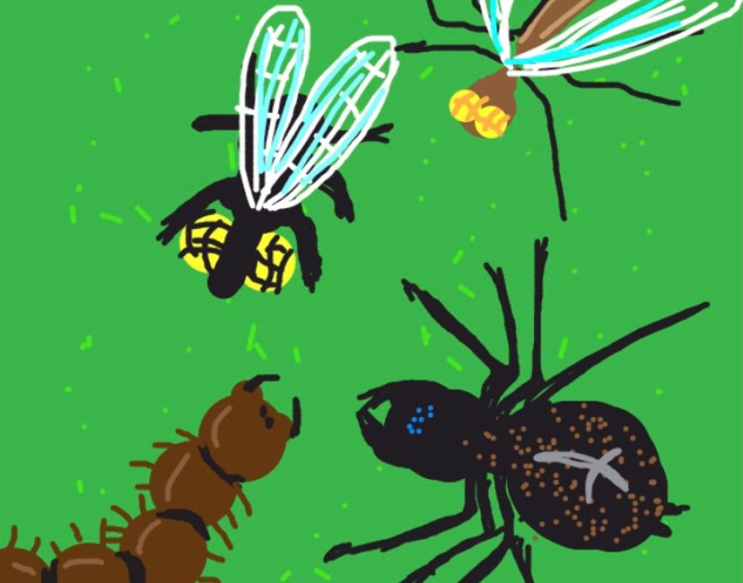 Nft InsectMeeting